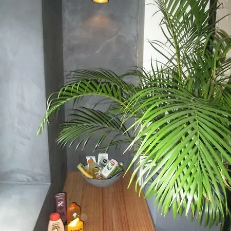 Tatil Evi Le Colibier *
