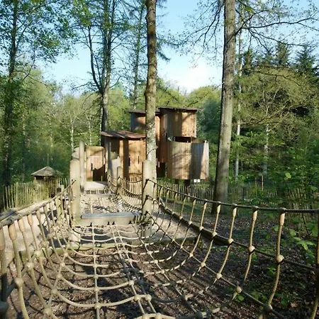 Le Colibier